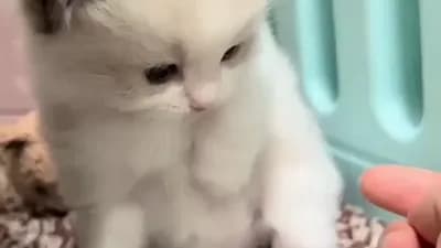 لا تلمسني